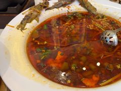 -院8里·少城记忆老川菜(宽窄巷子店)