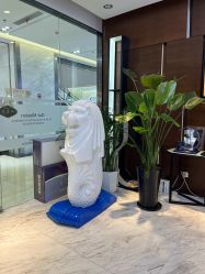 -洁铭新加坡医美