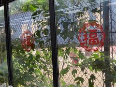 -中国农业大学动物医院