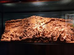 -上海市龙华烈士陵园