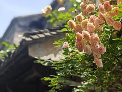 -老门东历史文化街区