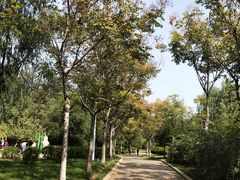 -张店儿童公园