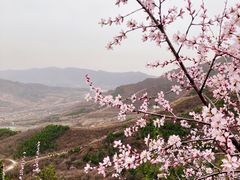 -北京凤凰岭