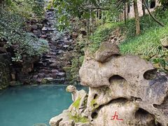 -十八棵（老龙井）御茶园(老龙井店)