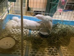 -雨林宠物医院 非犬猫异宠专科