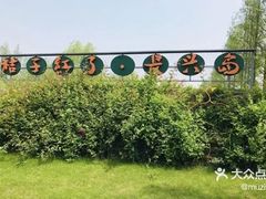 -前小桔亲子创意农场·草莓采摘·露营烧烤