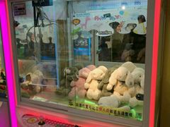 -PAWTOY爪e玩偶店(天兴罗斯福店)