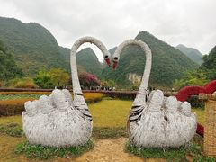 -靖西鹅泉风景区