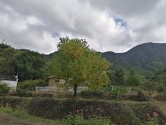 -塔川景区