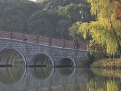 -上海第二工业大学(金海路校区)