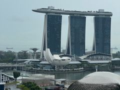 -新加坡瑞士史丹福酒店