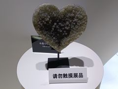 -上海自然博物馆