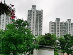 -吴越荣记苏州菜·松鼠桂鱼100%活鱼现做(斜塘老街店)