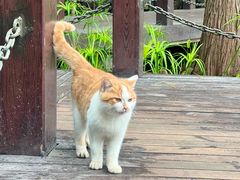 -重庆彩云湖湿地公园