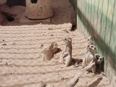 -昆明动物园