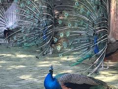 -南京金牛湖风景区