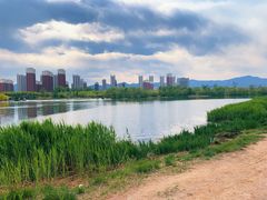 -永定河休闲森林公园