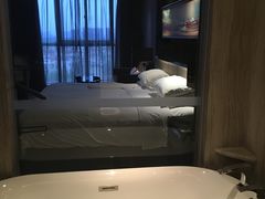 -常州环球恐龙城维景国际大酒店
