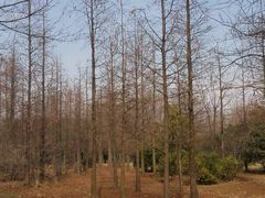 -蜀冈西峰生态公园