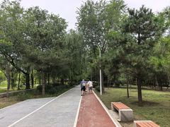 -绿堤公园