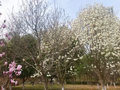 -白塘生态植物园