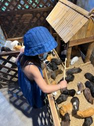 -酷嗒动物文化乐园(cutezoo西溪乐天城店)