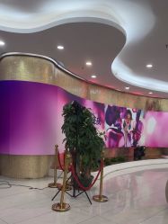 点击看大图 -广州美莱医疗美容医院