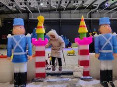 -宁波冰雪大世界(北仑区)