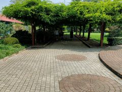 -嘉定紫藤园