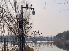 -武汉动物园