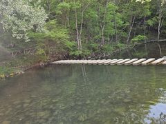 -龙道沟景区