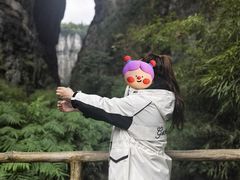 -重庆武隆天生三桥风景区-神鹰天坑