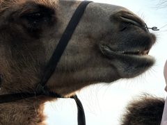 -库伦旗银沙湾旅游景区