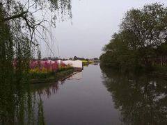 -南汇桃花村