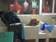 -帅帅宠物生活馆(三元路店)