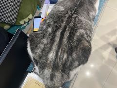 -谜盒子奇幻密室(南屏店)