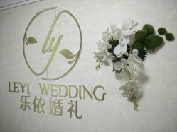 -蚂蚁婚车