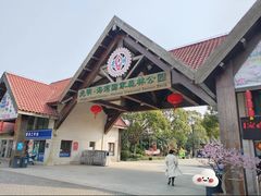 -上海海湾国家森林公园