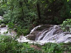 -莫里热带雨林景区