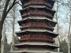 -北京世界公园