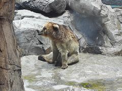 -珠海长隆海洋王国
