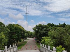 -上海海湾国家森林公园