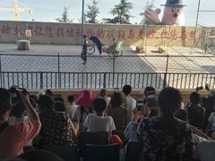 -东方熊牧场