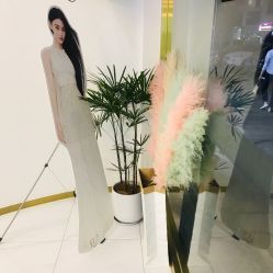 -OAE日式皮肤管理お肌の