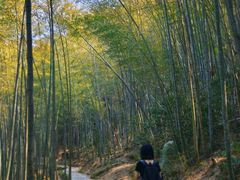 -黄山翡翠谷景区
