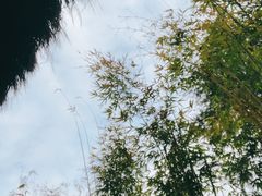-崇阳三特浪口温泉