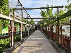 -呀路古热带植物园
