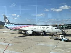 -威海大水泊国际机场