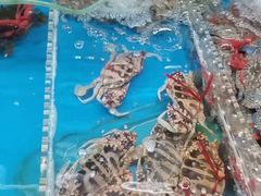 -正能量1号海鲜加工店