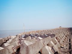 -上海滨江森林公园